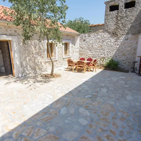 Stone Curlew * Lisane Tinjske